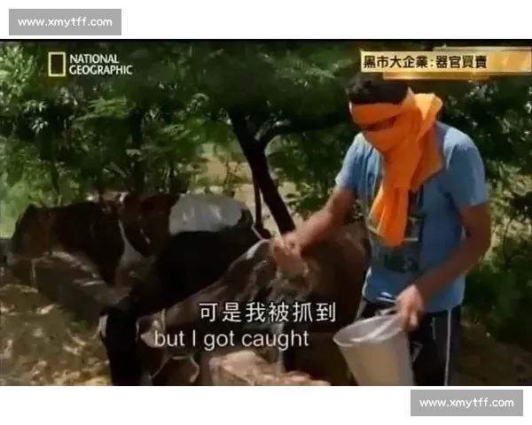 现代版龙宫急行军:打工人的奇幻通勤路 现代版龙宫急行军:打工人的奇幻通勤路